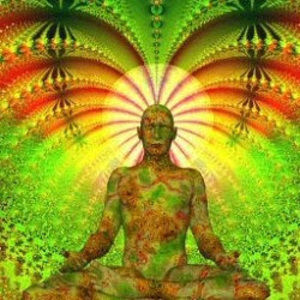 Meet your Posher, Undrea